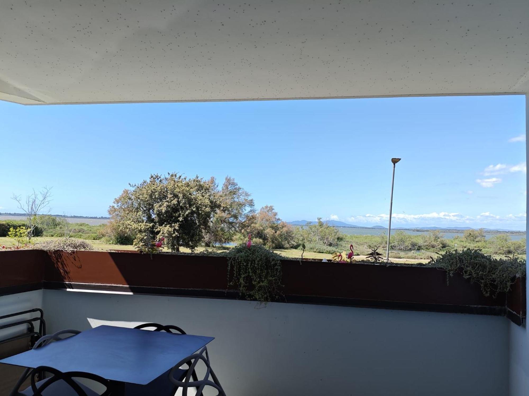 Flamingo View *